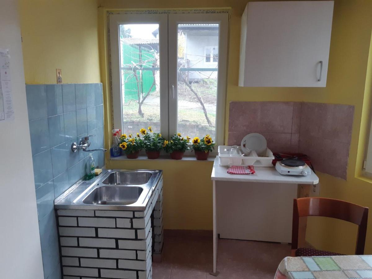 Apartman Novi Sad - Apartment Novi Sad Sremska Kamenica Extérieur photo